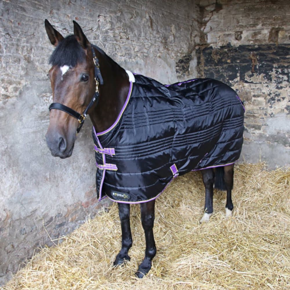 Hy StormX Original 200 stabil matta