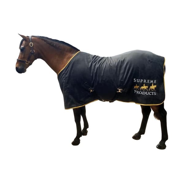 Supreme Products Horse Exercise Sheet