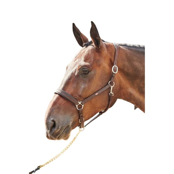 John Whitaker Redo att rida Läder häst Headcollar