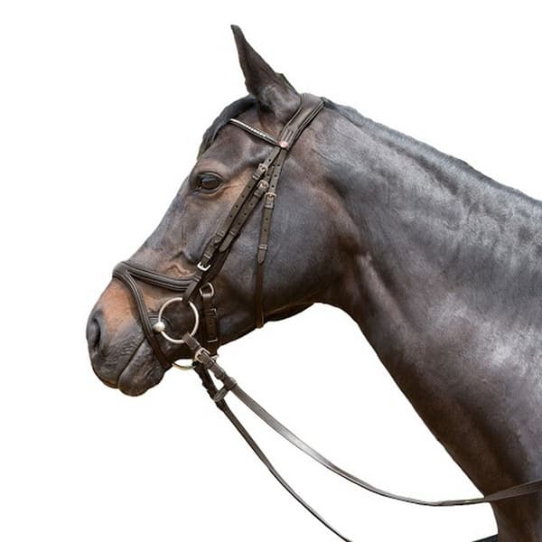 Kieffer Tara Snaffle Læder Hestebrynje