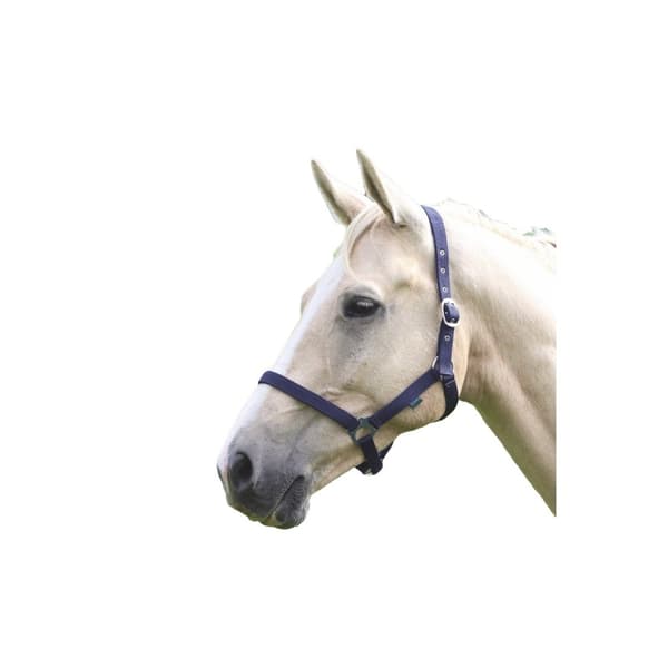 Wessex Horse Headcollar