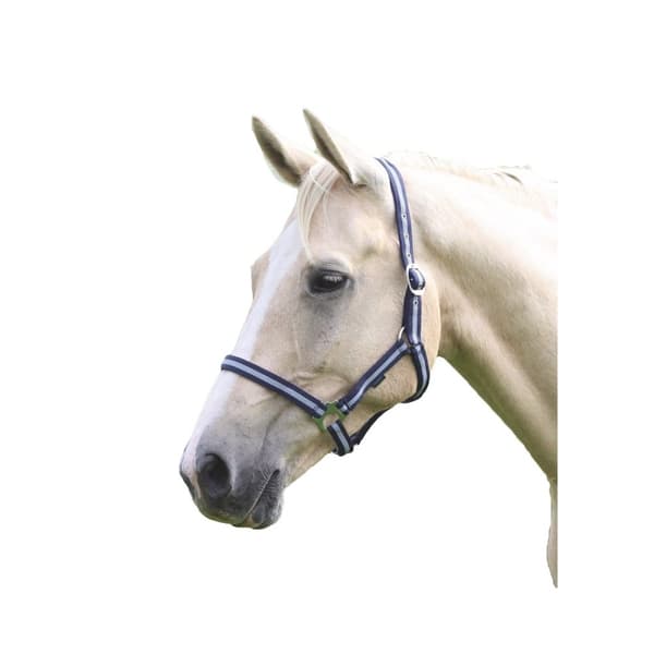 Wessex Hest Hovedhalsbånd