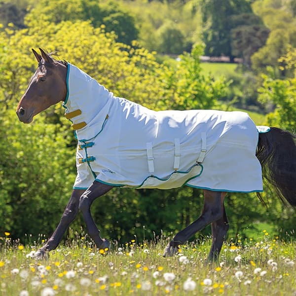 Tempest Plus Sweet-Itch Horse Combo Rug