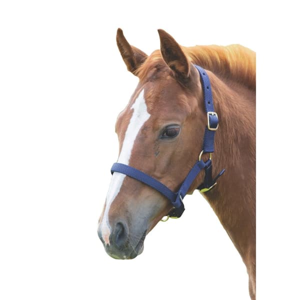 Shires Foal Headcollar Navy Foal/Mini