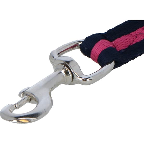 Wessex Web Horse Lead Rein