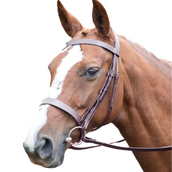 Avignon Hunter Läder Häst Cavesson Bridle