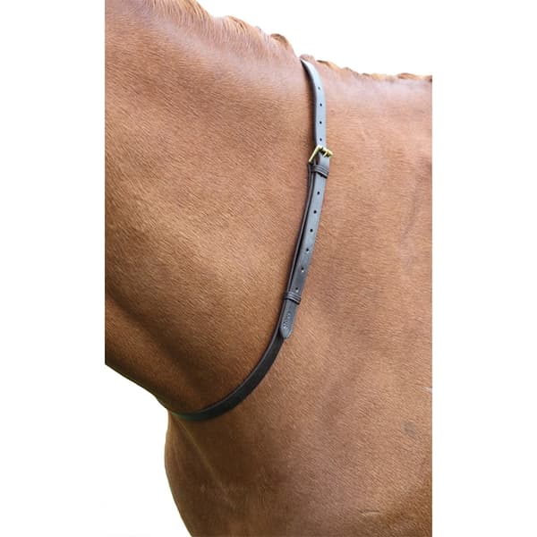 Blenheim Hästar läder nackrem Havana 152cm x 18mm
