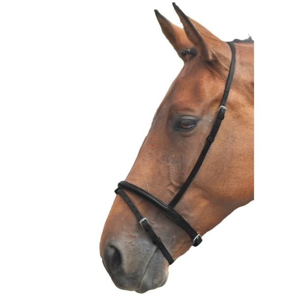 Blenheim Läder Häst Flash Näsband Black Cob