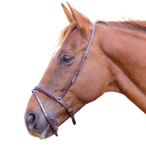 Blenheim Läder Häst Flash Näsband
