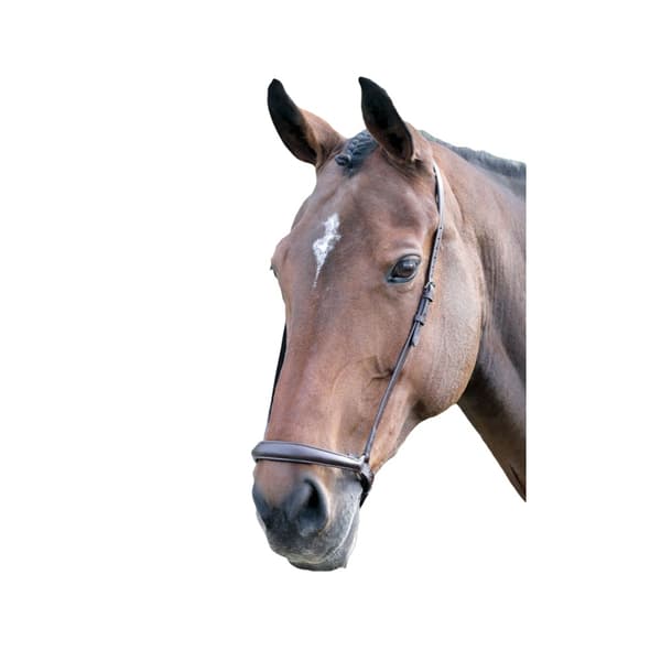 Blenheim Leather Horse Drop Noseband