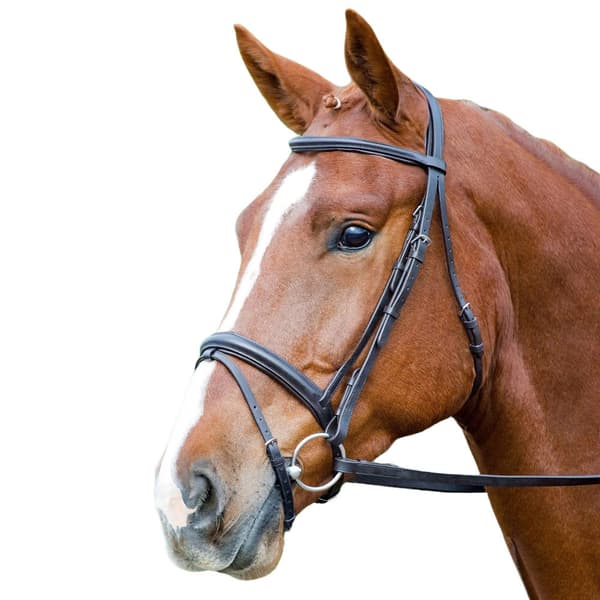Aviemore Comfort Fit Leather Horse Bridle