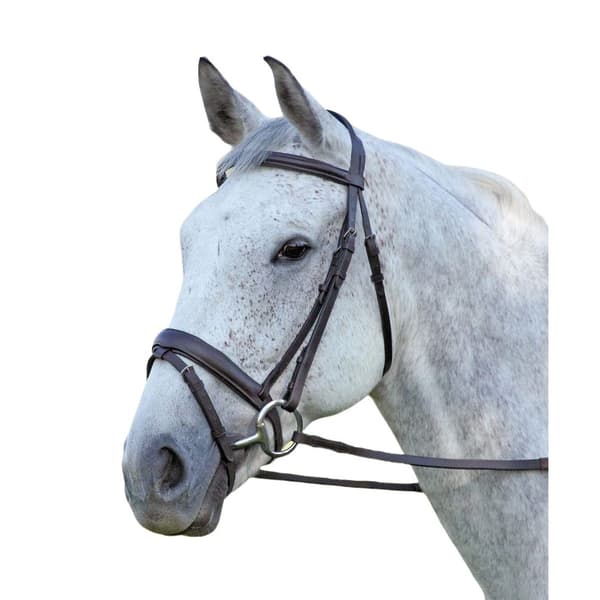 Aviemore Comfort Fit Leather Horse Bridle