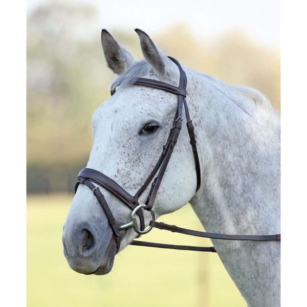 Aviemore Comfort Fit Leather Horse Bridle