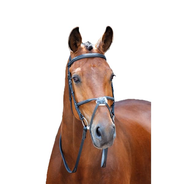 Salisbury Brackley Leather Horse Bridle