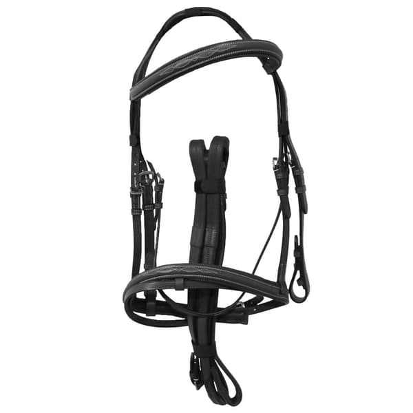 Avignon Padded Leather Horse Bridle