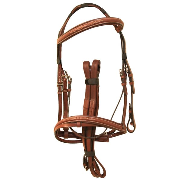 Avignon Padded Leather Horse Bridle