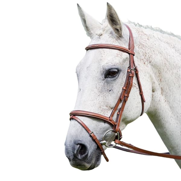 Avignon Padded Leather Horse Bridle