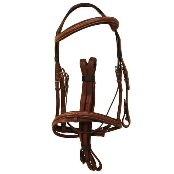 Avignon Padded Leather Horse Bridle