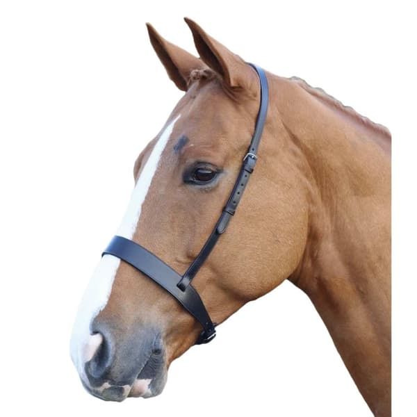 Blenheim Hunter læder hest Cavesson