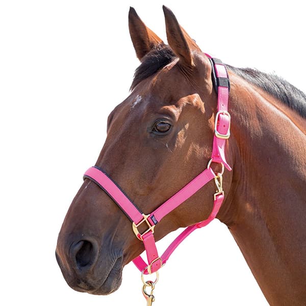 Shires Topaz Nylon häst huvudhalsband Pink Pony
