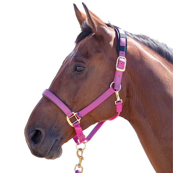 Shires Topaz Nylon hovedhalsbånd til heste