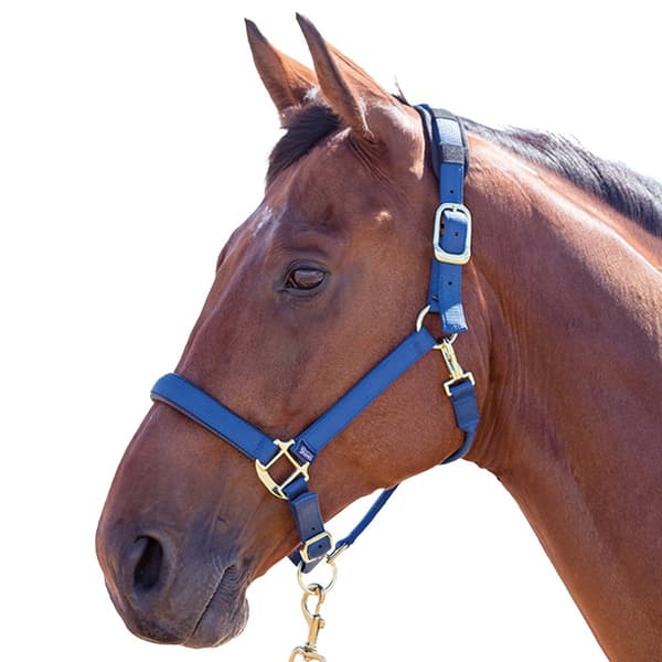 Shires Topaz Nylon Horse Headcollar