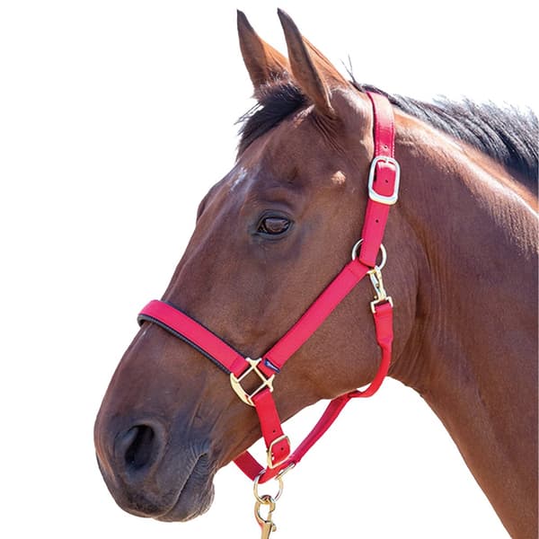 Shires Topaz Nylon hovedhalsbånd til heste
