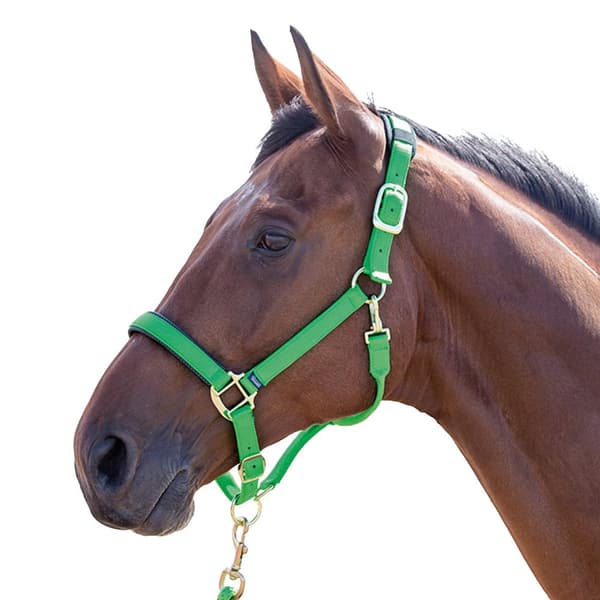 Shires Topaz Nylon Horse Headcollar