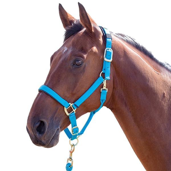 Shires Topaz Nylon Horse Headcollar