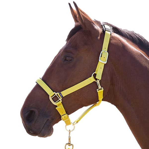 Shires Topaz Nylon hovedhalsbånd til heste