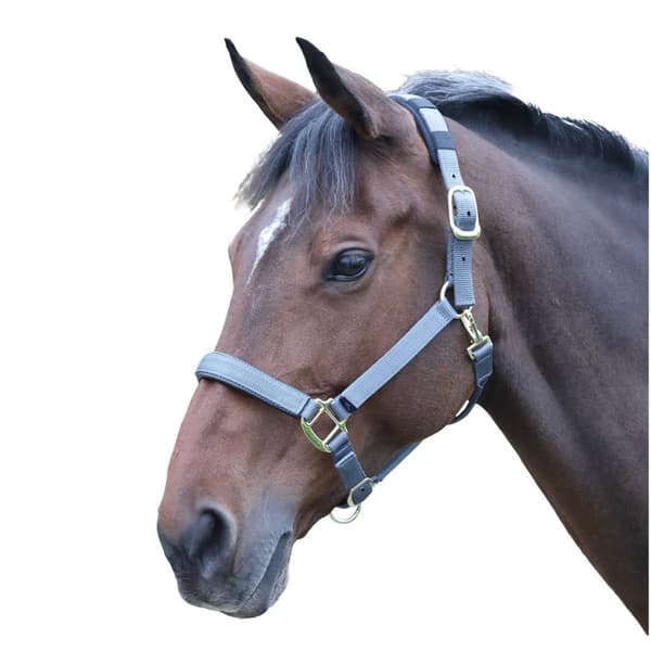 Shires Topaz Nylon Horse Headcollar
