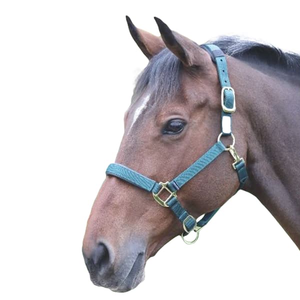 Shires Topaz Nylon häst huvudhalsband