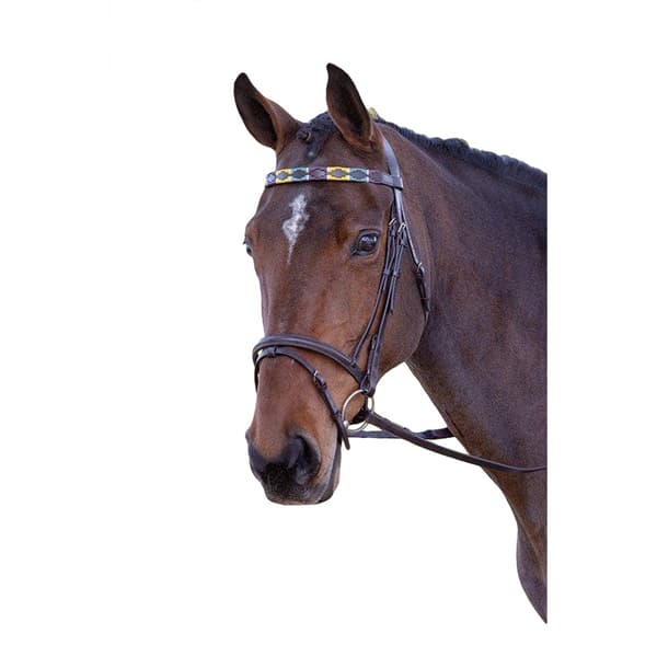 Blenheim Leather Polo Horse Browband