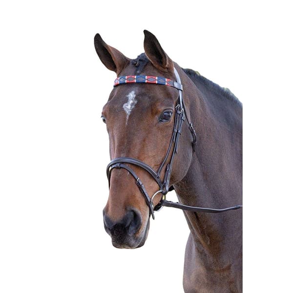 Blenheim Læder Polo hest pandebånd