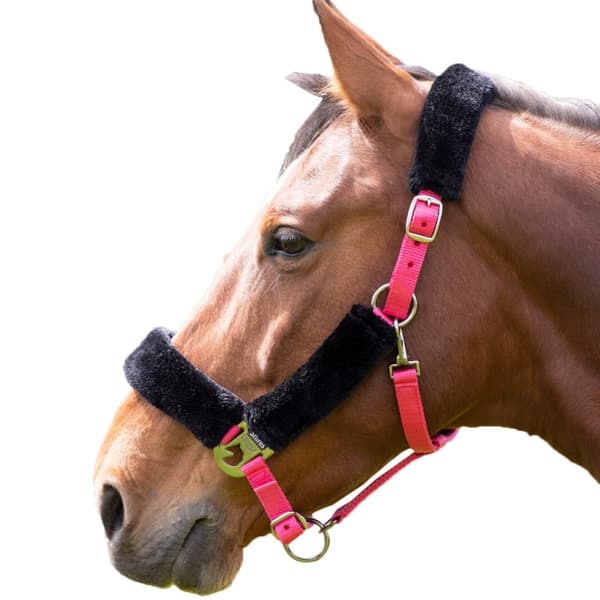 Shires Fleece Lined Horse Headcollar Pink/Black Pony
