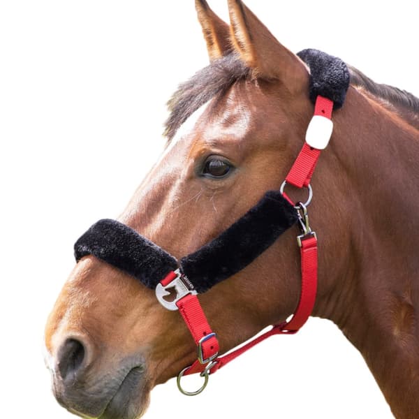 Shires Fleece Lined Horse Headcollar