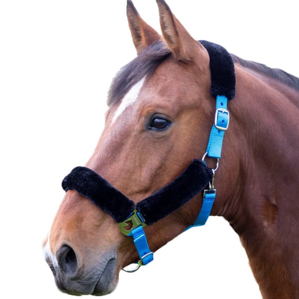 Shires Fleece Lined Horse Headcollar