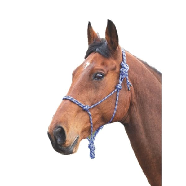 Shires Rope Horse Headcollar
