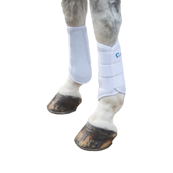 ARMA Neoprene Horse Brushing Boots CDON