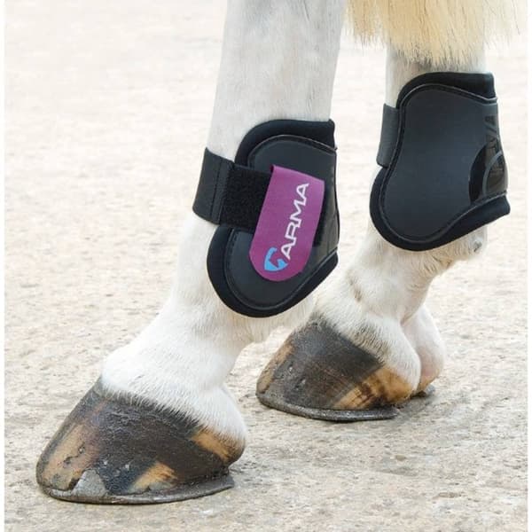 ARMA Horse Fetlock Boots