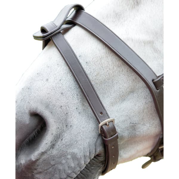 Blenheim Leather Horse Flash Strap