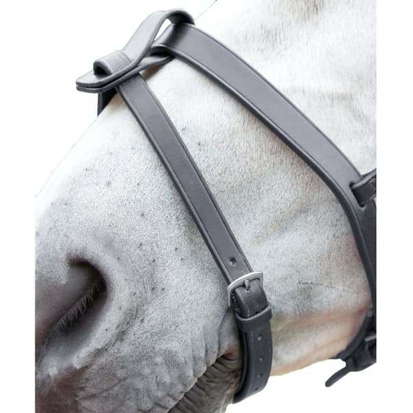 Blenheim Læder hest Flash Strap