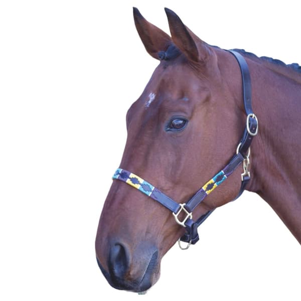 Blenheim Leather Polo Horse Headcollar