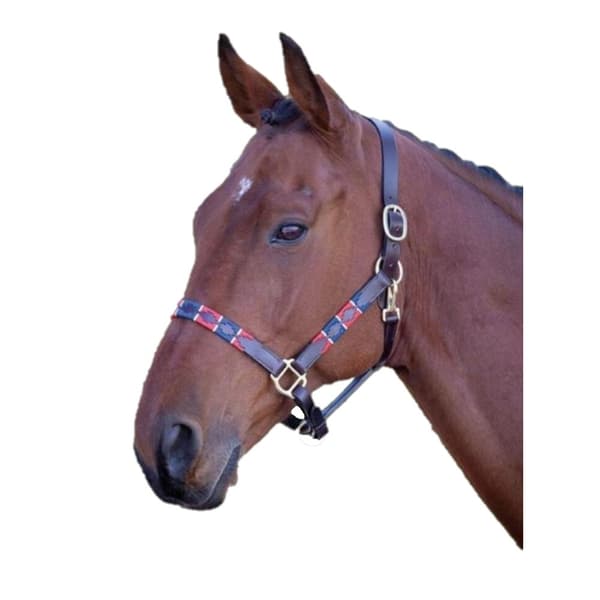 Blenheim Leather Polo Horse Headcollar