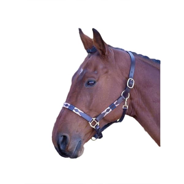 Blenheim Leather Polo Horse Headcollar