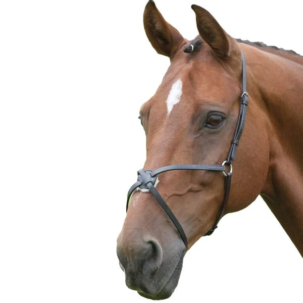 Blenheim Mexican Leather Horse Noseband