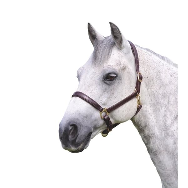 Blenheim Ragley Leather Horse Headcollar Havana X Full