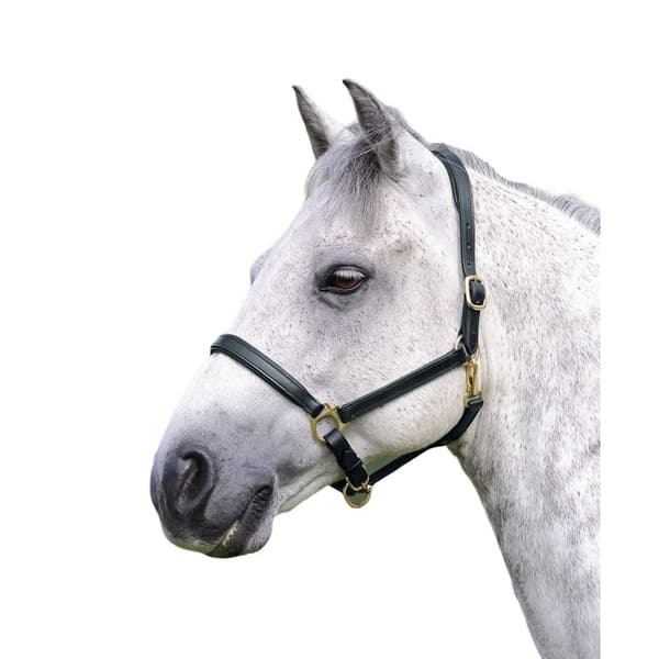 Blenheim Ragley Leather Horse Headcollar