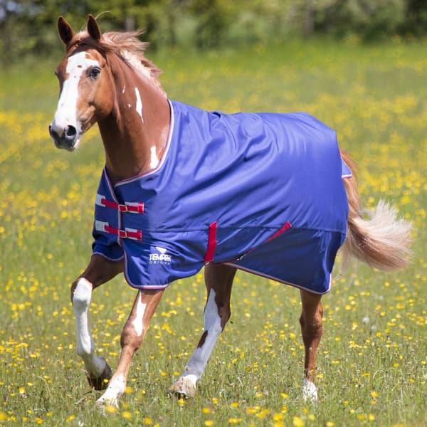 Tempest Original Air Motion Hest Turnout Rug