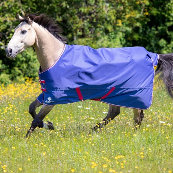 Tempest Original Air Motion Hest Turnout Rug
